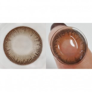 FLANMY Dark Mocha 10片裝